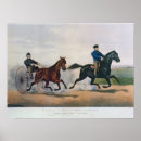 Search for mare art Gelding