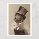 Search for vintage dog photos postcards Smoking