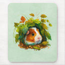 Search for guinea pig mouse mats Cavies