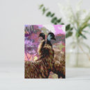 Search for courtship cards invites Bird