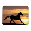 Search for emote magnets Black