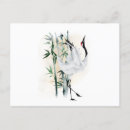 Search for bamboo postcards Temple