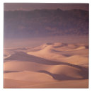 Search for environment tiles Scenic