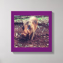 Search for kenya canvas prints Africa
