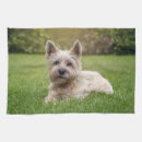 Search for schnauzer tea towels Terrier