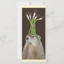 Search for phil cards Groundhog