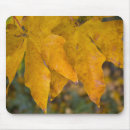 Search for leaf thank mouse mats Autumn