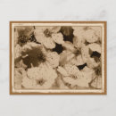 Search for spring bride postcards Floral