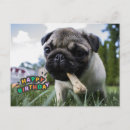 Search for pug puppy dog cards Baby