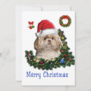 Search for shihtzu cards Funny