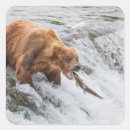 Search for salmon stickers Alaska
