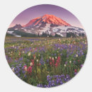 Search for multi photo stickers Photography