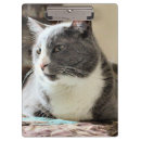 Search for cat clipboards White