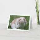 Search for lop cards Holland