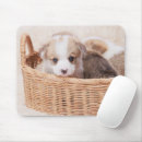 Search for tiny mouse mats Dog