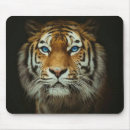 Search for bengal tiger electronics Blue eyes