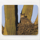 Search for horned owl mouse mats Animal