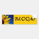 Search for sunflowers bumper stickers Floral