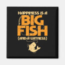 Search for witness magnets Rod