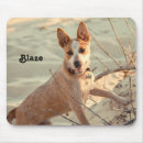 Search for australian cattle dog mouse mats Puppy