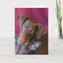 Search for doberman christmas cards Pet