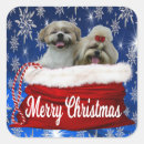 Search for shih tzu puppy stickers Puppies