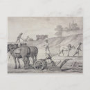 Search for oxen postcards Horse