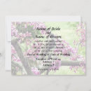 Search for redbud tree Flowers