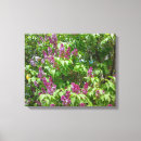 Search for lilac canvas prints Nature