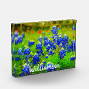 Search for texas bluebonnet Blue flowers