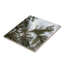 Search for evergreen tiles Snow