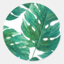 Search for green palm leaf stickers Chic
