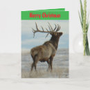 Search for elk christmas cards Antlers