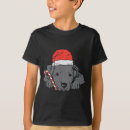 Search for pitbull kids tshirts Halloween