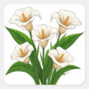 Search for calla lily flower stickers Lilies