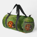 Search for ladybug bags Insect