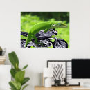 Search for gecko lizard posters Pet
