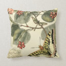 Search for dragonfly gifts Butterfly