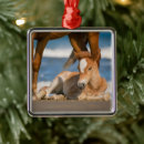 Search for horses christmas tree decorations Wild horse