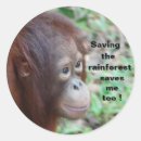 Search for sumatra stickers Borneo