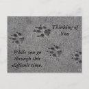 Search for pet loss postcards Dog