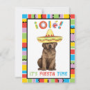 Search for chocolate lab invitations Chocolate labrador retriever