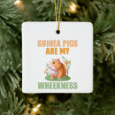 Search for piggy christmas tree decorations Guinea pigs