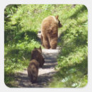 Search for bear family stickers Nature
