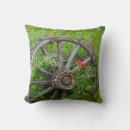 Search for canadian cushions British columbia