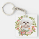 Search for puppys key rings Maltese puppy