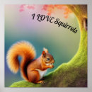 Search for squirrel posters Animals