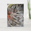 Search for abstract galleries cards Nobody