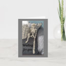 Search for funny skeleton birthday cards Photography