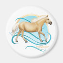 Search for quarter horses magnets Palomino